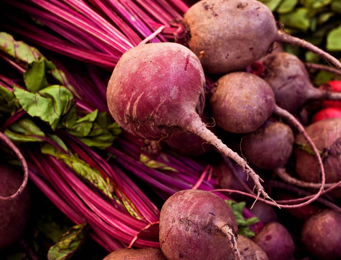 ValleyView Beets