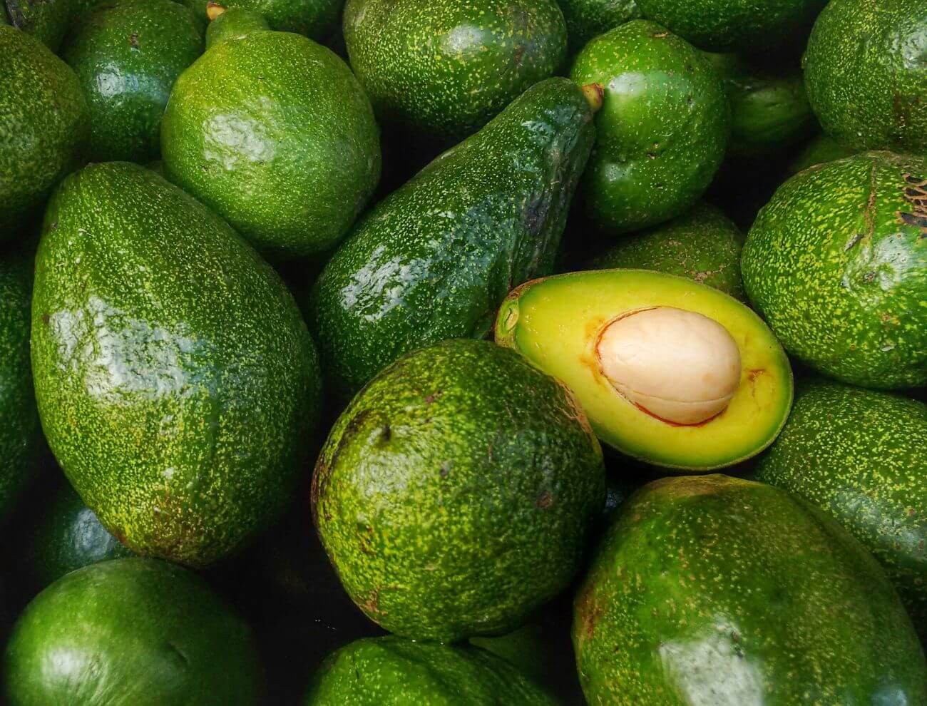 https://www.vvproduce.com/wp-content/uploads/2022/09/Valley-View-Fresh-Avocado.jpg