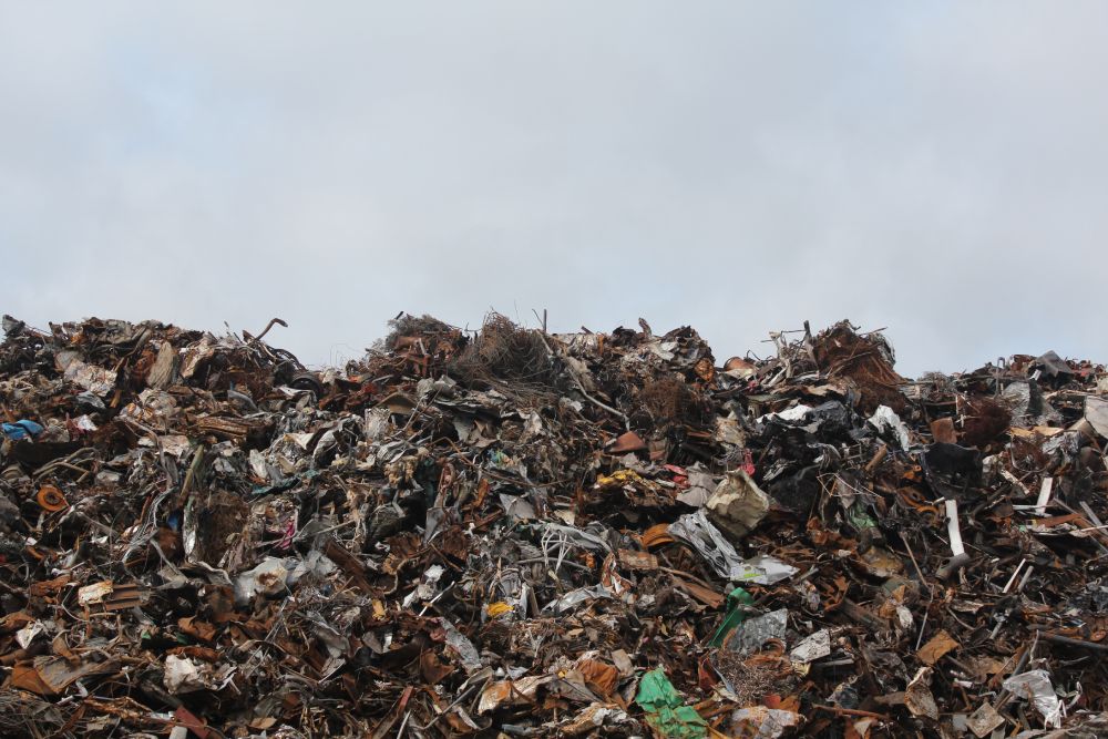 most food waste ends up in landfills