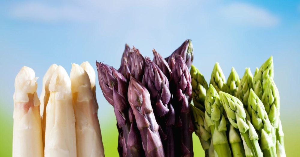 4 Types of Asparagus 