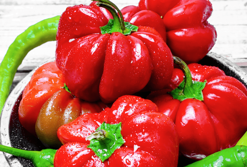 august food market update