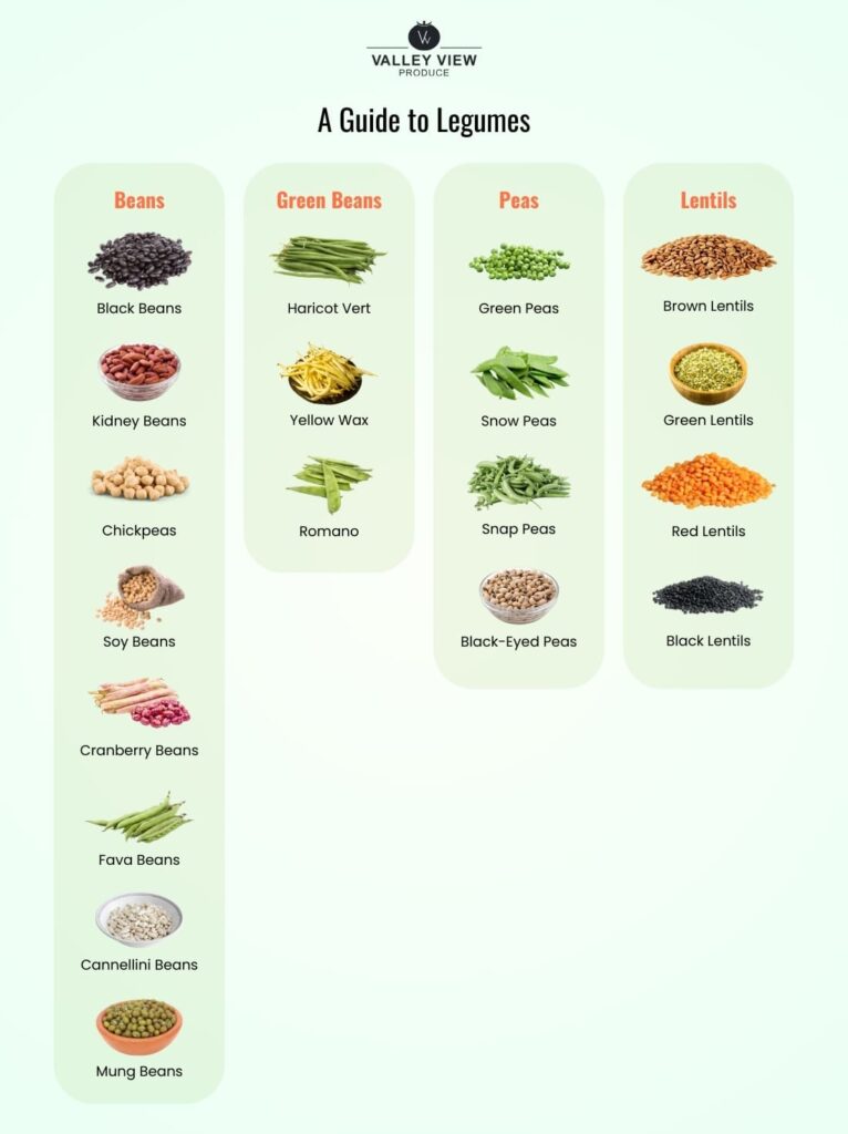 Types Of Legumes 7 Powerful Picks For NYC Kitchens Types Of Legumes 7 Powerful Picks For NYC Kitchens