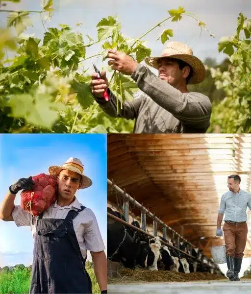 VVP LABOR SHORTAGE BLOG