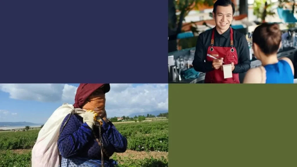 7 Alarming Ways Immigration Impacts Food Industry Jobs